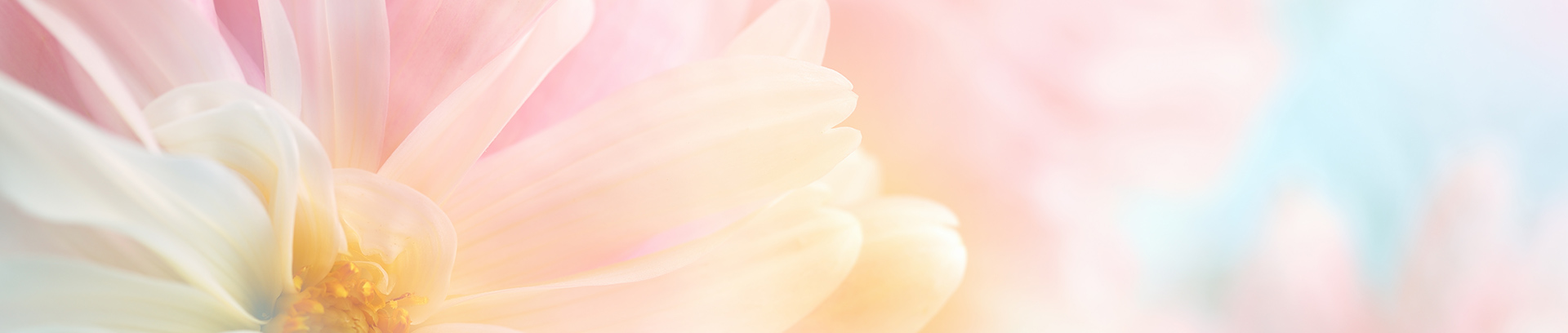 ご相談メニュー